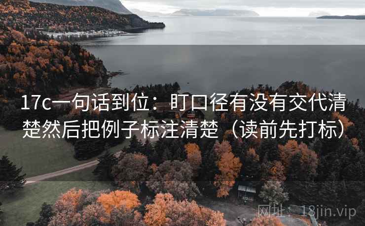17c一句话到位：盯口径有没有交代清楚然后把例子标注清楚（读前先打标）